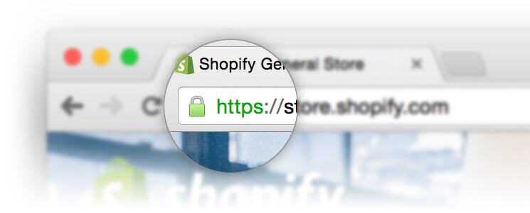 Shopify Plus security SSL PCI compliance